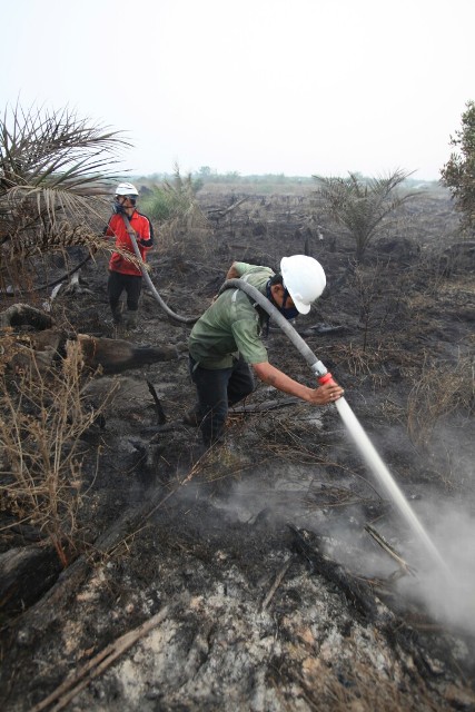 Waspada Karhutla, Titik Api Muncul di Kuansing